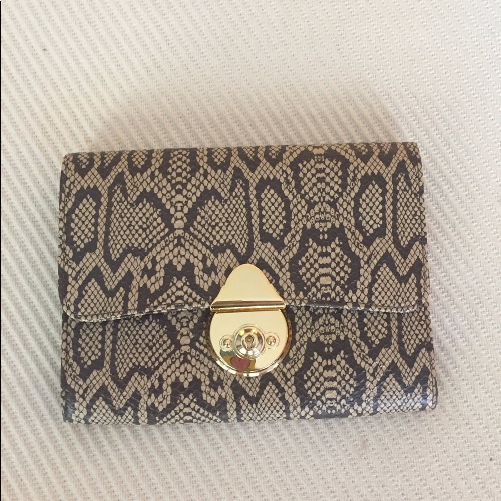 Snake Pattern Clutch